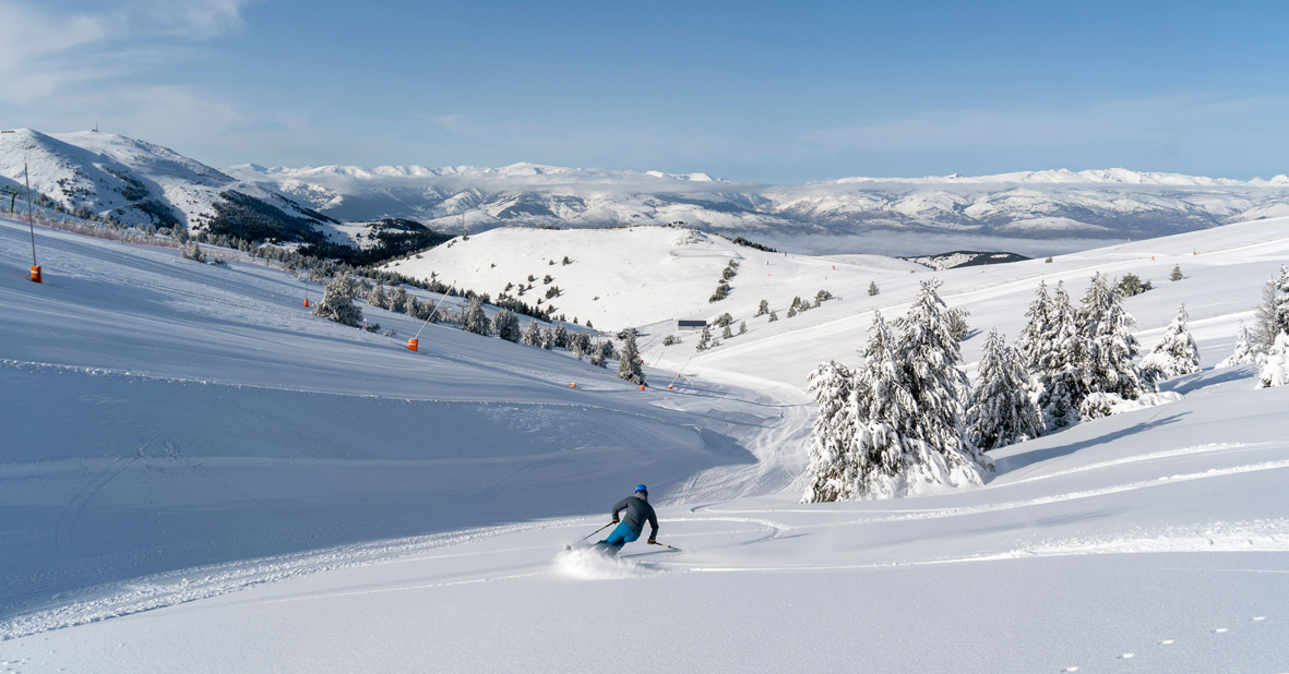 Regalaneu - 1 and 2 day pass